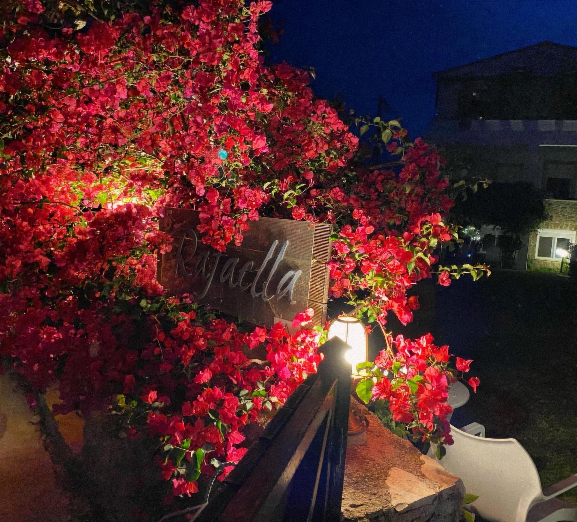 Irene'S Maisonette At Rafaella Resort Kokkonion Ngoại thất bức ảnh